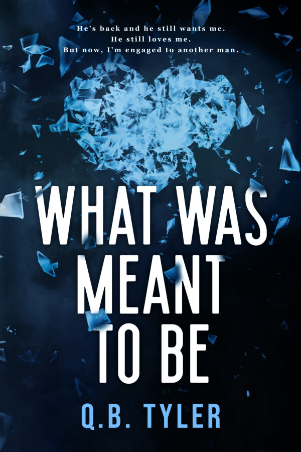 What Was Meant to Be - Alternate Hardback